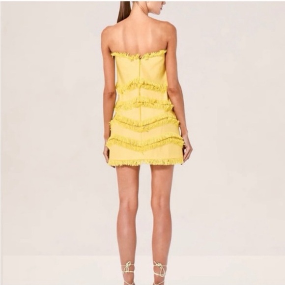 SOLD Alexis Fione Dress XS NWT - Picture 2 of 2